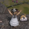 Bild des Benutzers Tomomo
